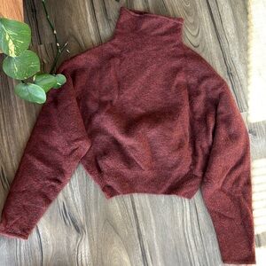 Wilfred (Aritzia) Red Sweater